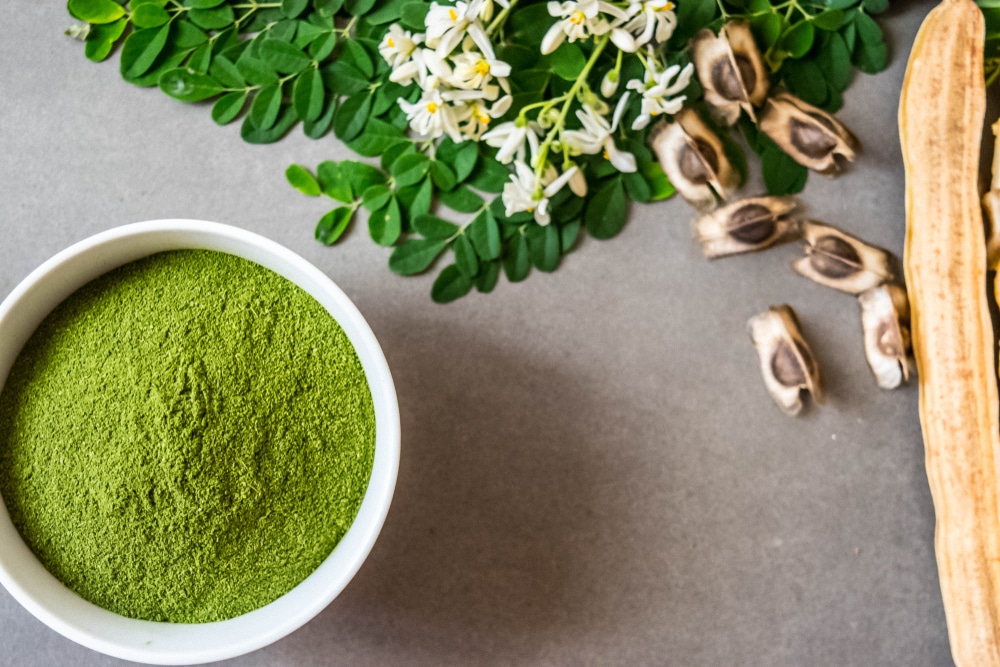 Conoce Cu Les Son Los Usos De La Moringa