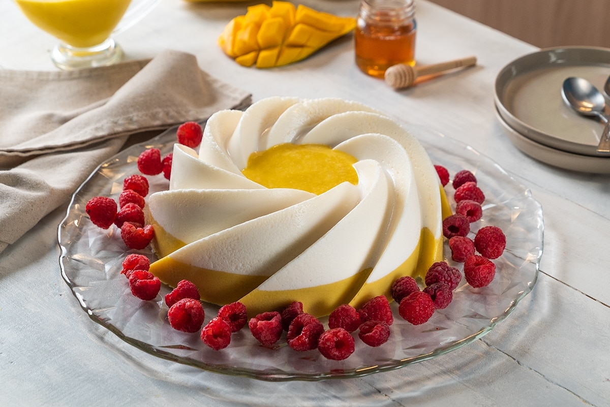 Top 34 Imagen Receta De Gelatina De Yogurt De Mango Abzlocal Mx