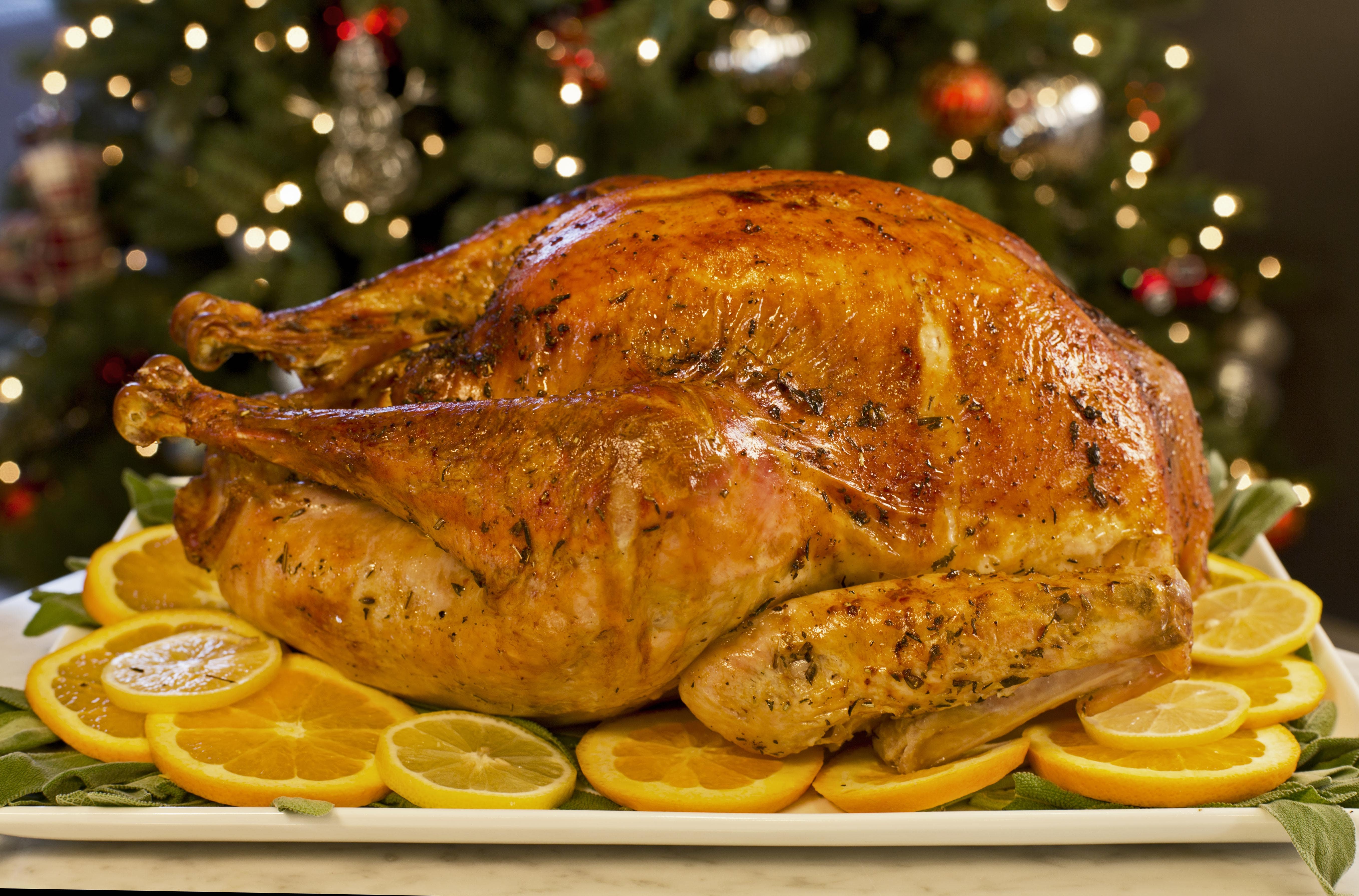 WWW RECETAS DE PAVO www recetas de pavo: