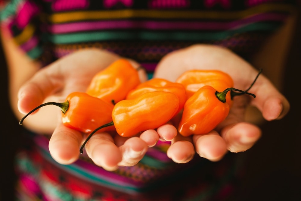 Recetas de postres para personas con gastritis