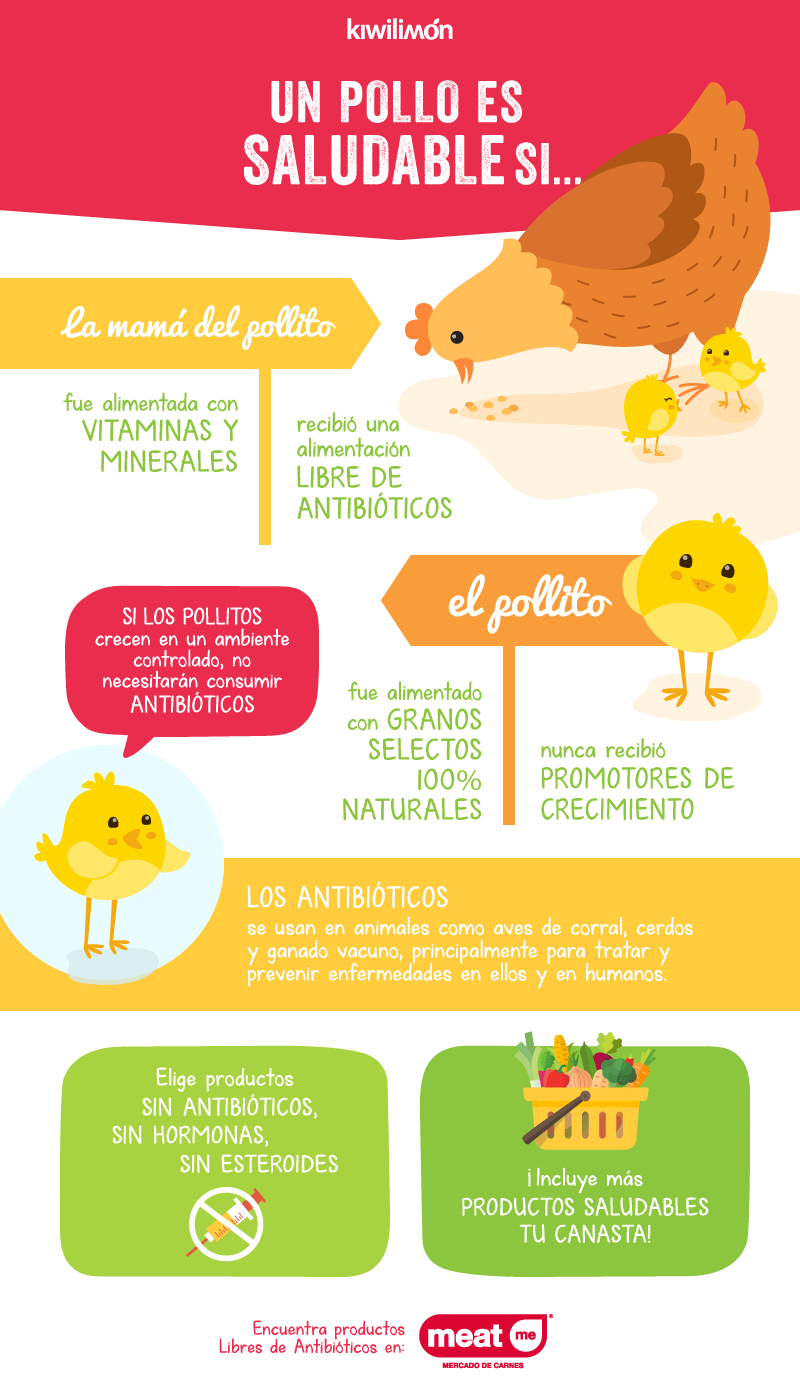 Datos que debes saber del pollo