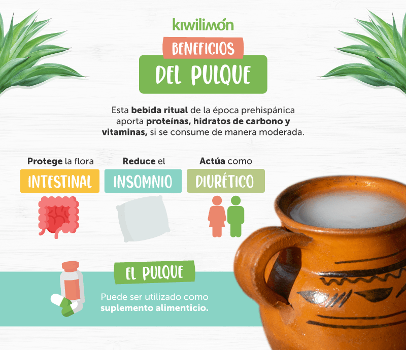 5 beneficios de tomar Pulque, bebida mexicana milenaria