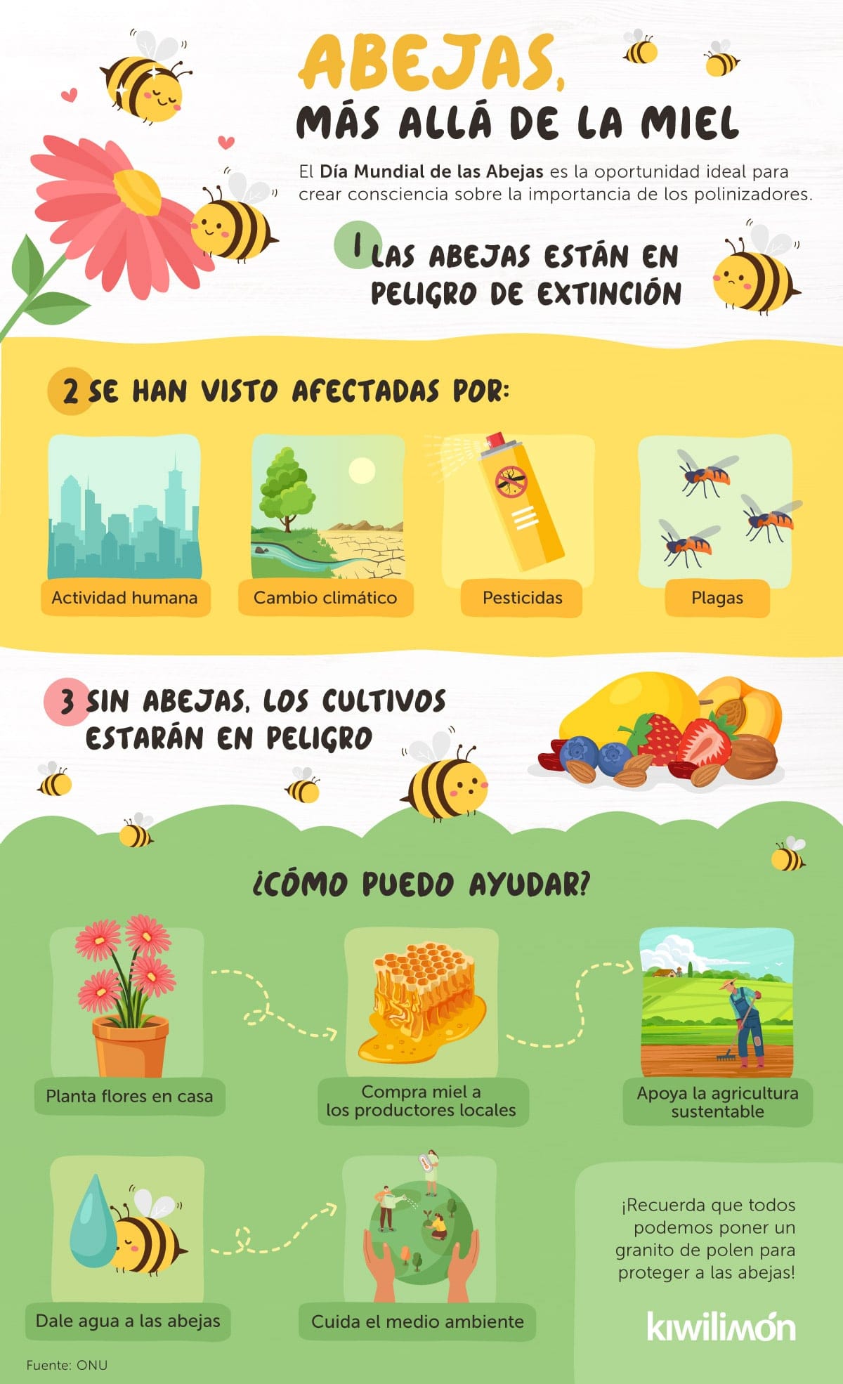 Cómo saber si compramos miel adulterada? - Abejas en la agricultura